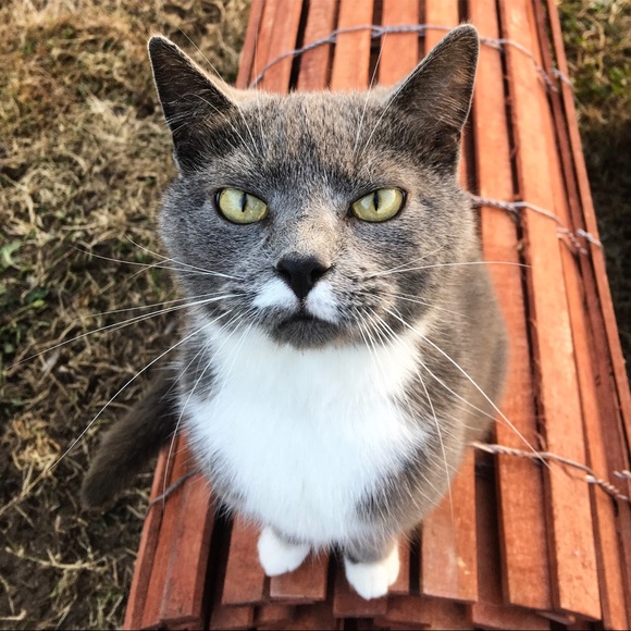 PRICE DROP!! - Picture 6 of 8